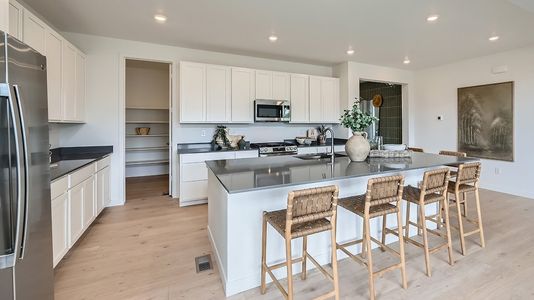New construction Single-Family house 39836 Floyd St, Elizabeth, CO 80107 Aspen- photo 3 3