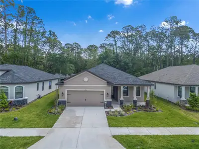 New construction Single-Family house 11512 Weaver Hollow Rd, New Port Richey, FL 34654 plan Pompei RH2/51 - image