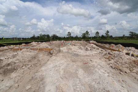 New construction Single-Family house 5762 Jeffries Way, Wesley Chapel, FL 33545 Newport II Bonus- photo 4 4