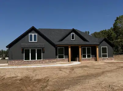 New construction Single-Family house 1098 Colt Rd, Springtown, TX 76082 plan The Lily - image