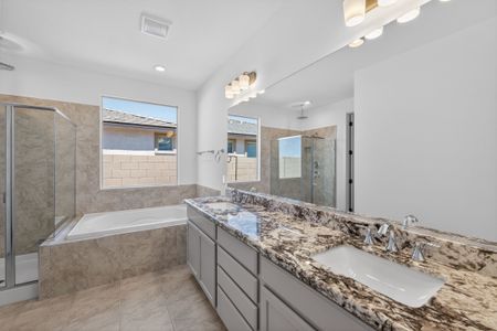 New construction Single-Family house 17074 W Hackamore Dr, Surprise, AZ 85387 plan Zion - image 14