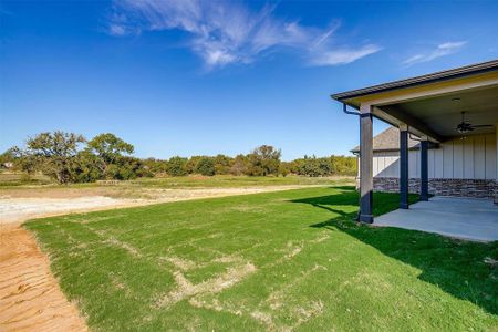 New construction Single-Family house 1062 Alex Dr, Springtown, TX 76082 null- photo 29 29