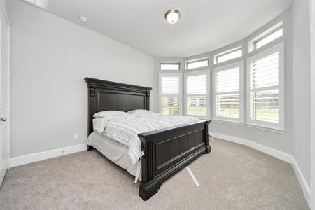 New construction Single-Family house 10015 Crescent Wood Dr, Missouri City, TX 77459 Anahuac (3624-HL-60)- photo 25 25