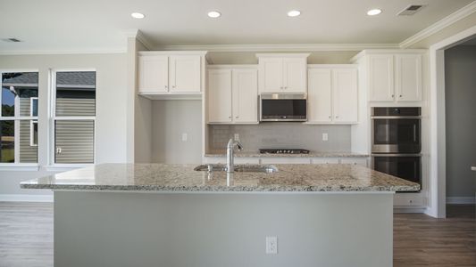 New construction Single-Family house 117 Reedgrass Dr, Little River, SC 29566 plan The Oceanside - image 8