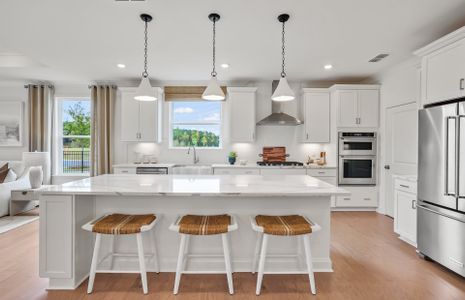 Beautiful Open Kitchen