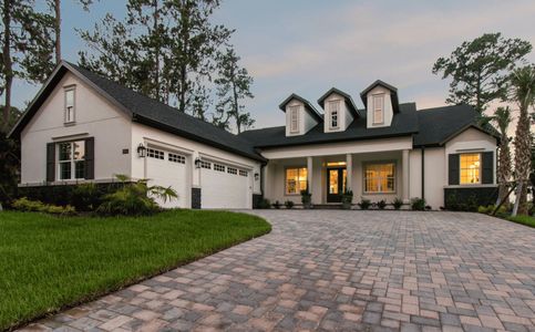 New construction Single-Family house 8201 Tilapia Pl, New Port Richey, FL 34654 plan Sawgrass - image