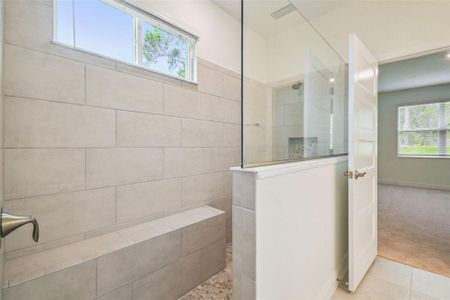 New construction Single-Family house 11347 Striped Bass Ct, New Port Richey, FL 34654 plan Pompei - image 14