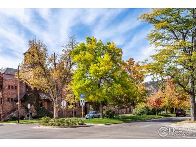 New construction Duplex house 936 North St, Unit A, Boulder, CO 80304 - photo 33 33