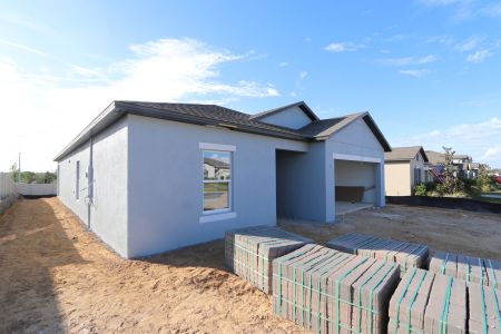 New construction Single-Family house 12263 Hilltop Farms Dr, Dade City, FL 33525 Sentinel- photo 77 77