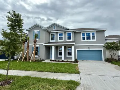 New construction Single-Family house 17409 Crisp Apple Ln, Land O' Lakes, FL 34638 plan Ellington - image