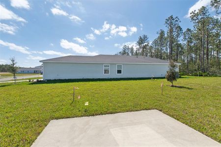 New construction Single-Family house 28 Sandy Ln, Palm Coast, FL 32137 Denali- photo 34 34