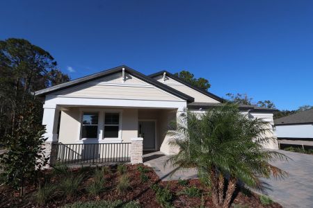 New construction Single-Family house 20219 Oriana Loop, Land O' Lakes, FL 34638 Corina  III- photo 84 84