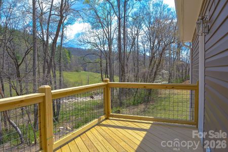New construction Single-Family house 784 Bearwallow Mountain Rd, Hendersonville, NC 28792 - image