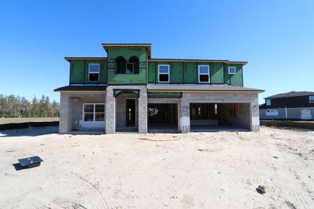 New construction Single-Family house 31222 Hayman Loop, Wesley Chapel, FL 33545 Windsor- photo 23 23