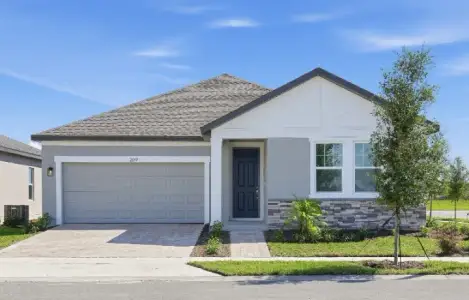 New construction Single-Family house 2677 Broadwing St, Kissimmee, FL 34746 plan Plant - image