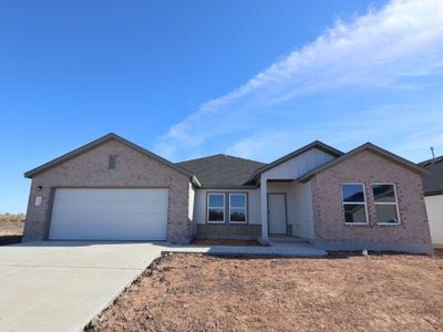 New construction Single-Family house 13709 Warnock Trl, Manor, TX 78653 plan Arlington - image