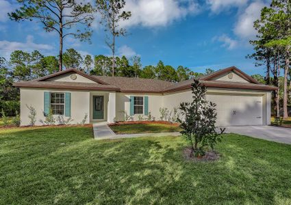 New construction Single-Family house 1209 Saxon Blvd, Orange City, FL 32763 null- photo 0