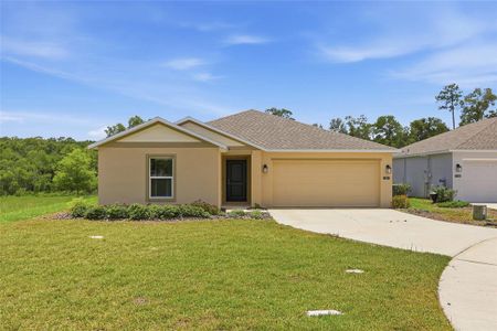 New construction Single-Family house 1251 Inkberry Cir, Deland, FL 32720 plan Celeste - image