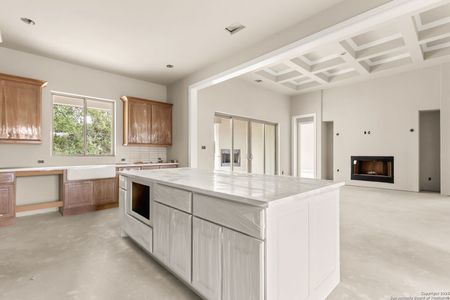 New construction Single-Family house 429 Eider Cv, Spring Branch, TX 78070 - image 16