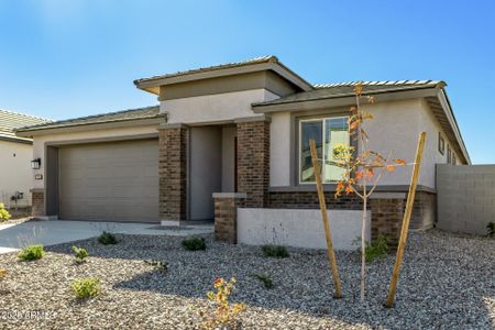 New construction Single-Family house 30157 W Palo Brea Wy, Buckeye, AZ 85396 plan Plan 4003 - image