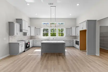 New construction Single-Family house 1242 Waymanville Rd, Thomaston, GA 30286 plan Summer Hill - image 4