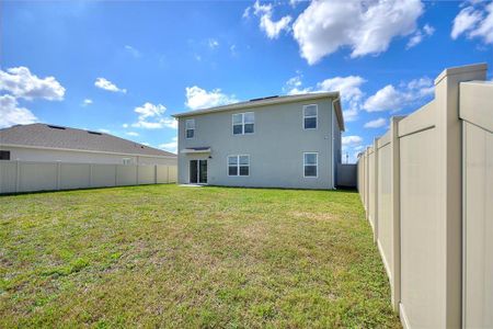 New construction Single-Family house 421 Chayne Pl, St. Cloud, FL 34771 null- photo 54 54