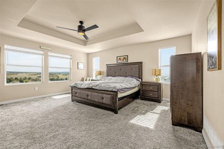 New construction Single-Family house 2475 Antica Ct, Colorado Springs, CO 80921 - image 10