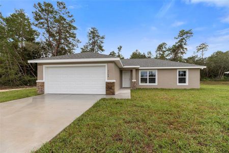 New construction Single-Family house 49 Fisher Trace, Ocklawaha, FL 32179 - photo 0