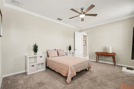 New construction Single-Family house 4902 Eagle Rock Dr, Wimauma, FL 33598 plan Mira Lago - image 19