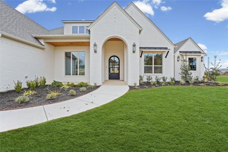 New construction Single-Family house 3001 Southern Rise Ct, Granbury, TX 76049 - image