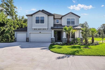 New construction Single-Family house 18437 Purple Creek Ln, Lutz, FL 33549 null- photo 0 0