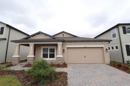 New construction Single-Family house 33227 Amling Pecan Br, Wesley Chapel, FL 33545 Newport II- photo 144 144