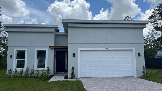 New construction Single-Family house 17135 Sw 41 Ct, Ocala, FL 34473 - image