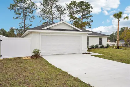New construction Single-Family house 10 Hemlock Loop Pass, Ocala, FL 34472 - image