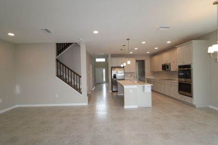 New construction Single-Family house 38338 Tobiano Loop, Dade City, FL 33525 Mira Lago- photo 136 136