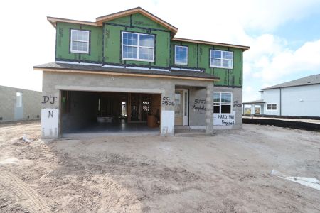 New construction Single-Family house 5707 Maydale Ave, Wesley Chapel, FL 33545 Sonoma II- photo 67 67