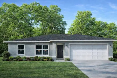 New construction Single-Family house 2859 Se 140Th Pl, Summerfield, FL 34491 - image