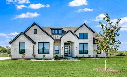 New construction Single-Family house 353 Willowy Dr, Union Valley, TX 75189 plan Isabella - image
