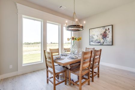 New construction Single-Family house 561 Royal Santana Run (Model Home), Weatherford, TX 76087 plan The Houston II - image 13