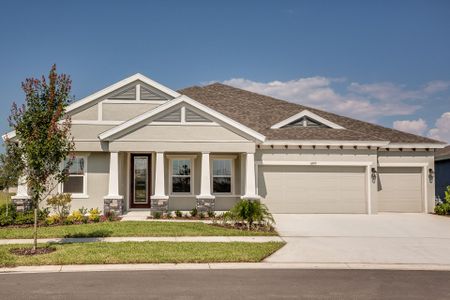 New construction Single-Family house 5379 Wolf Creek Dr, Apollo Beach, FL 33572 null- photo 0 0