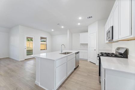 New construction Single-Family house 3820 Rose Hill Ct, Denison, TX 75020 - image 7