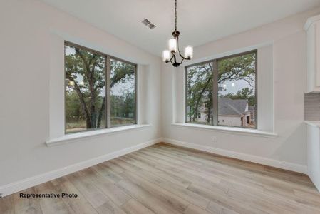 New construction Single-Family house 400 Mcalpine, Springtown, TX 76082 - image 16