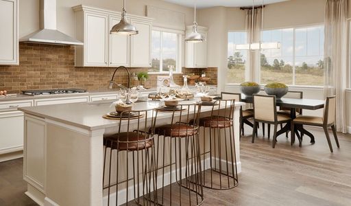 Mead at Southshore by Richmond American Homes in Aurora - photo 27 27