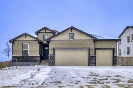 New construction Single-Family house 8349 Jesse Evans Dr, Colorado Springs, CO 80908 plan C411 - image