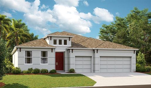 New construction Single-Family house 5188 Everlong Dr, Apollo Beach, FL 33572 - image