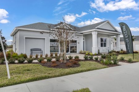 New construction Single-Family house 1620 Lake Reserve Drive, Deland, FL 32724 - photo 0