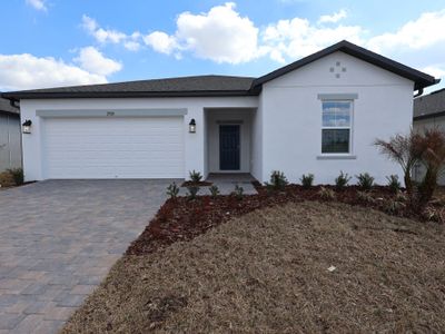 New construction Single-Family house 2920 Quinault Pl, Wimauma, FL 33598 plan Ventura - image