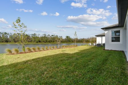 New construction Single-Family house 7819 Notched Pine Bnd, Wesley Chapel, FL 33545 Windsor- photo 90 90