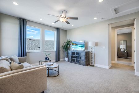 New construction Single-Family house Parrish, FL 34219 null- photo 13 13