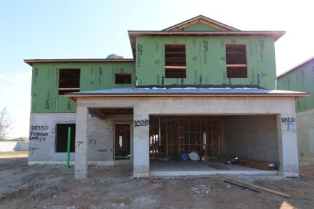 New construction Single-Family house 38350 Tobiano Loop, Dade City, FL 33525 Cabo- photo 26 26